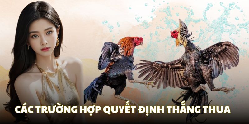 Các trường hợp quyết định thắng thua của đá gà bằng cựa sắt